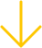 Vector
