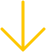 Vector